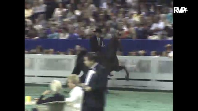 1997 WCHS - Class 198 Three Gaited Gr...