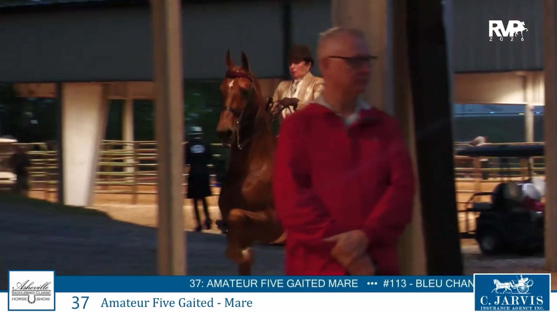 ASC26 - Class 37 - Amateur Five Gaited Mare