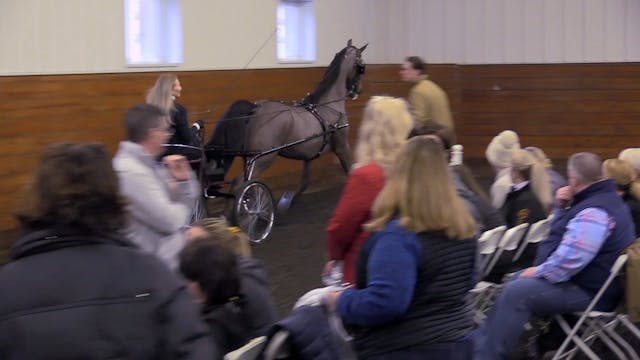 Harness Demonstration - With Johnny J...
