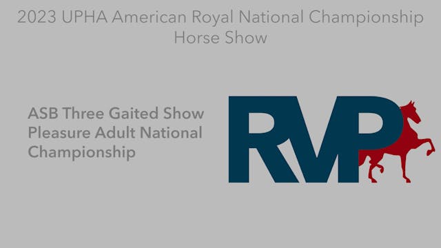 AR23 - Class 157 - ASB Three Gaited S...