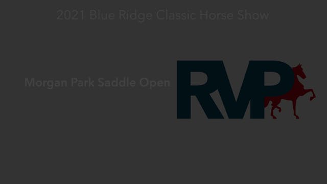 BR21 - Class 30 - Morgan Park Saddle ...