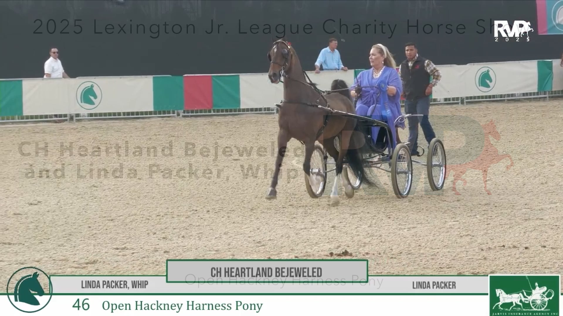 LJL25 - Class 46 - CH Heartland Bejeweled and Linda Packer, Whip