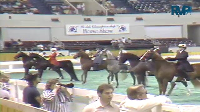 1987 WCHS Class 13 3 Gaited Pleasure ...