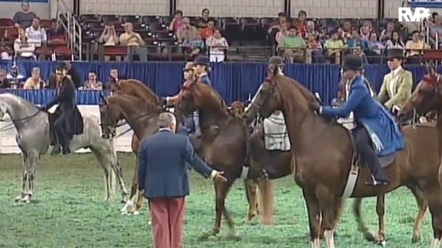 2010 World's Championship Horse Show ...