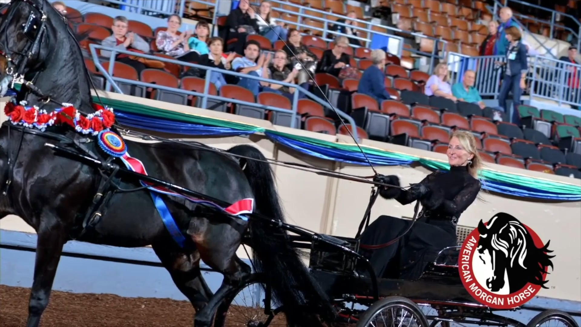 Jenny and Jim Taylor - AMHA Professional Horseman's Award