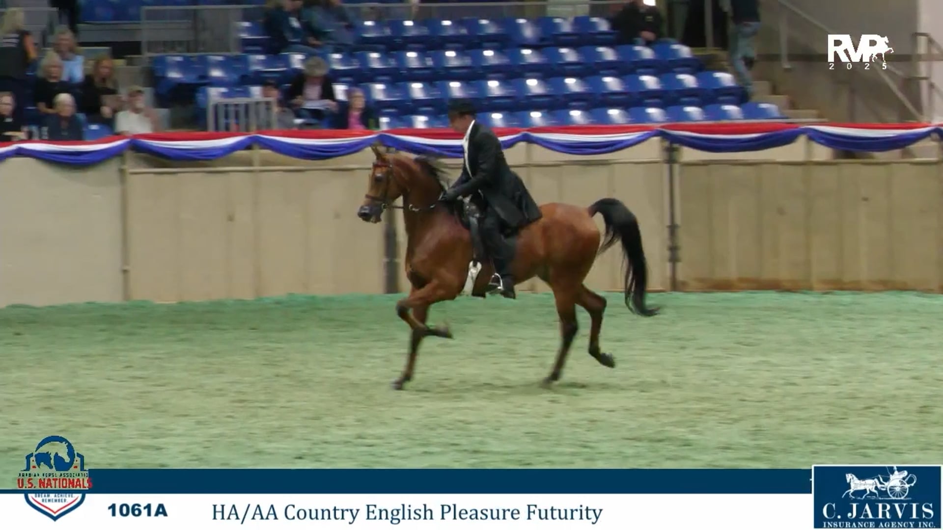 AN25 - Class 1061a - HA-AA Country English Pleasure Futurity - Section A
