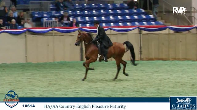 AN25 - Class 1061a - HA-AA Country En...