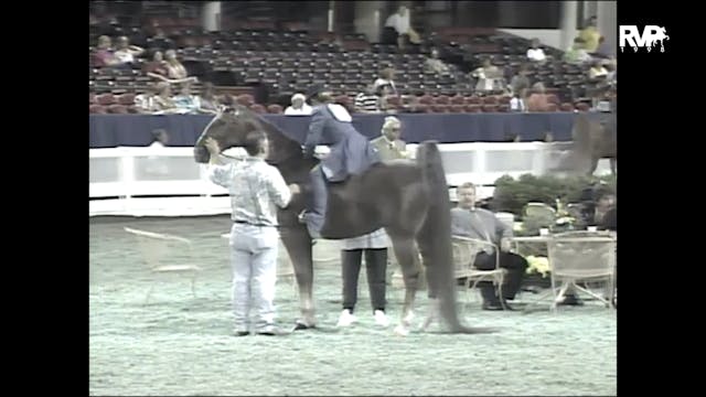 1998 WCHS - Class 113 UPHA Walk Trot ...