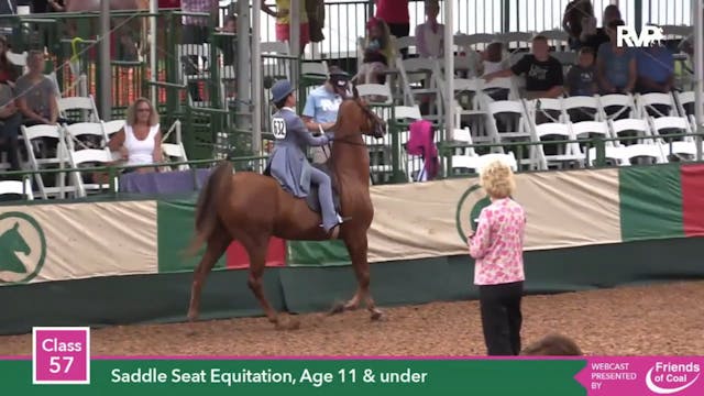 2015 LJL - Class 57 Saddle Seat Equit...