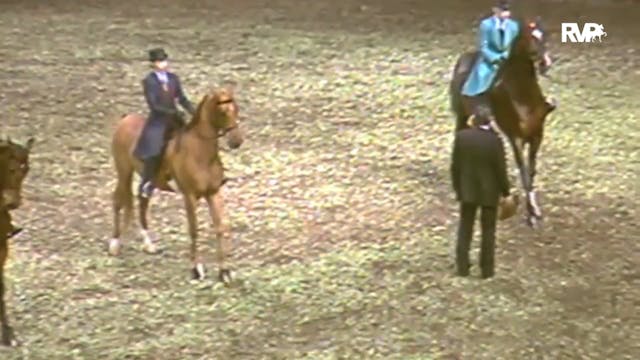 1991 American Royal - Three Gaited Pl...