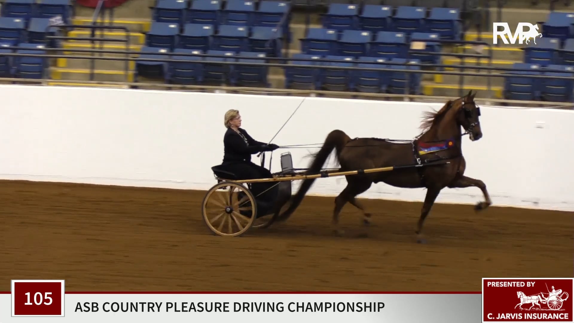 BB19 - Class 105 - CH Attache's Chocolate Thunder