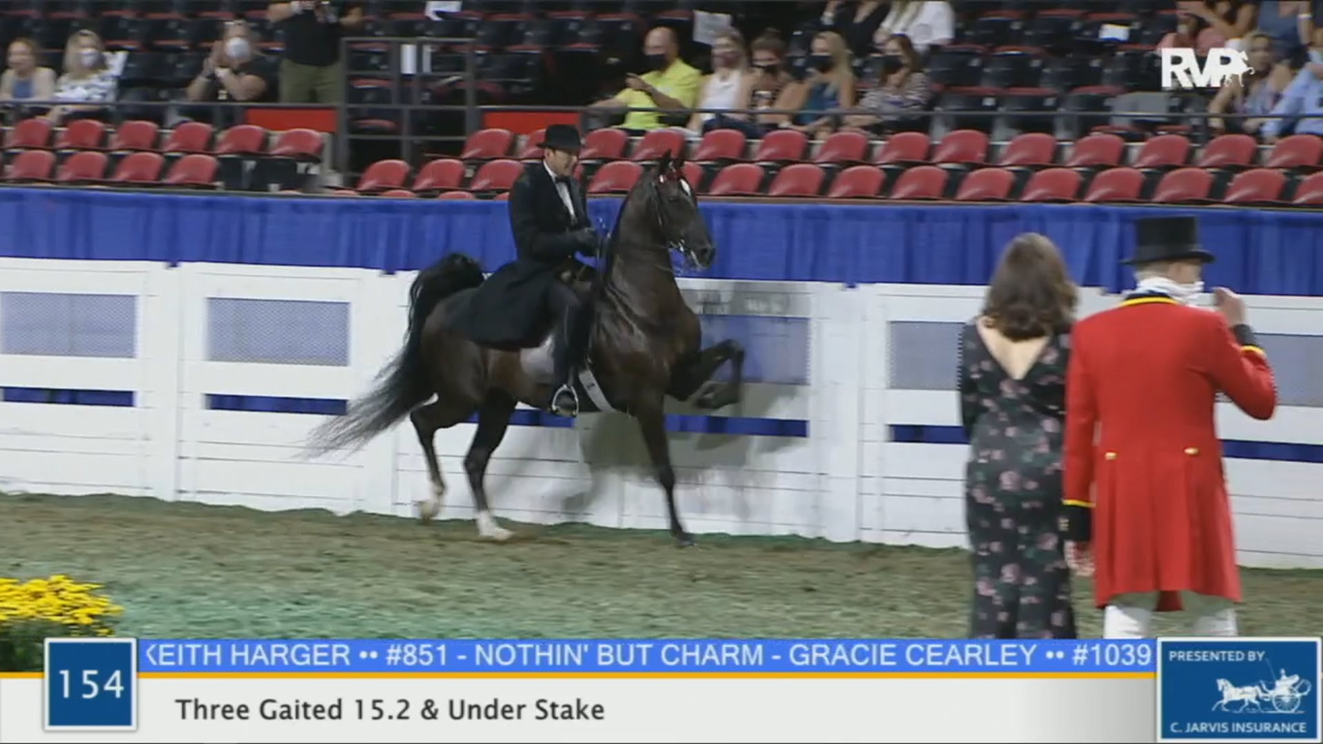WCHS 2020 Class 154 - Three-Gaited 15.2 & Under Stake