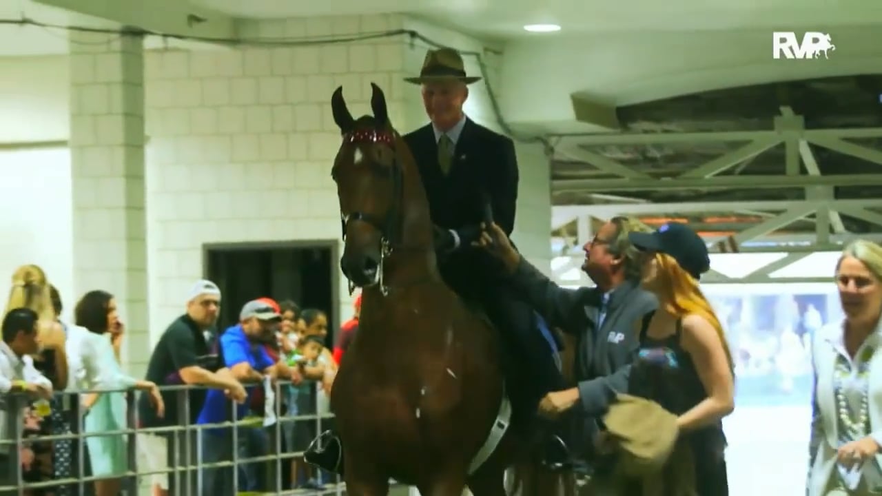 2015 World's Championship Horse Show - Friday Evening