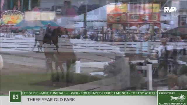 2016 RC - Class 83 Three Year Old Park 