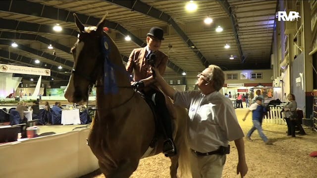 GASP20 - Class 44 - CH Ridgefield's D...