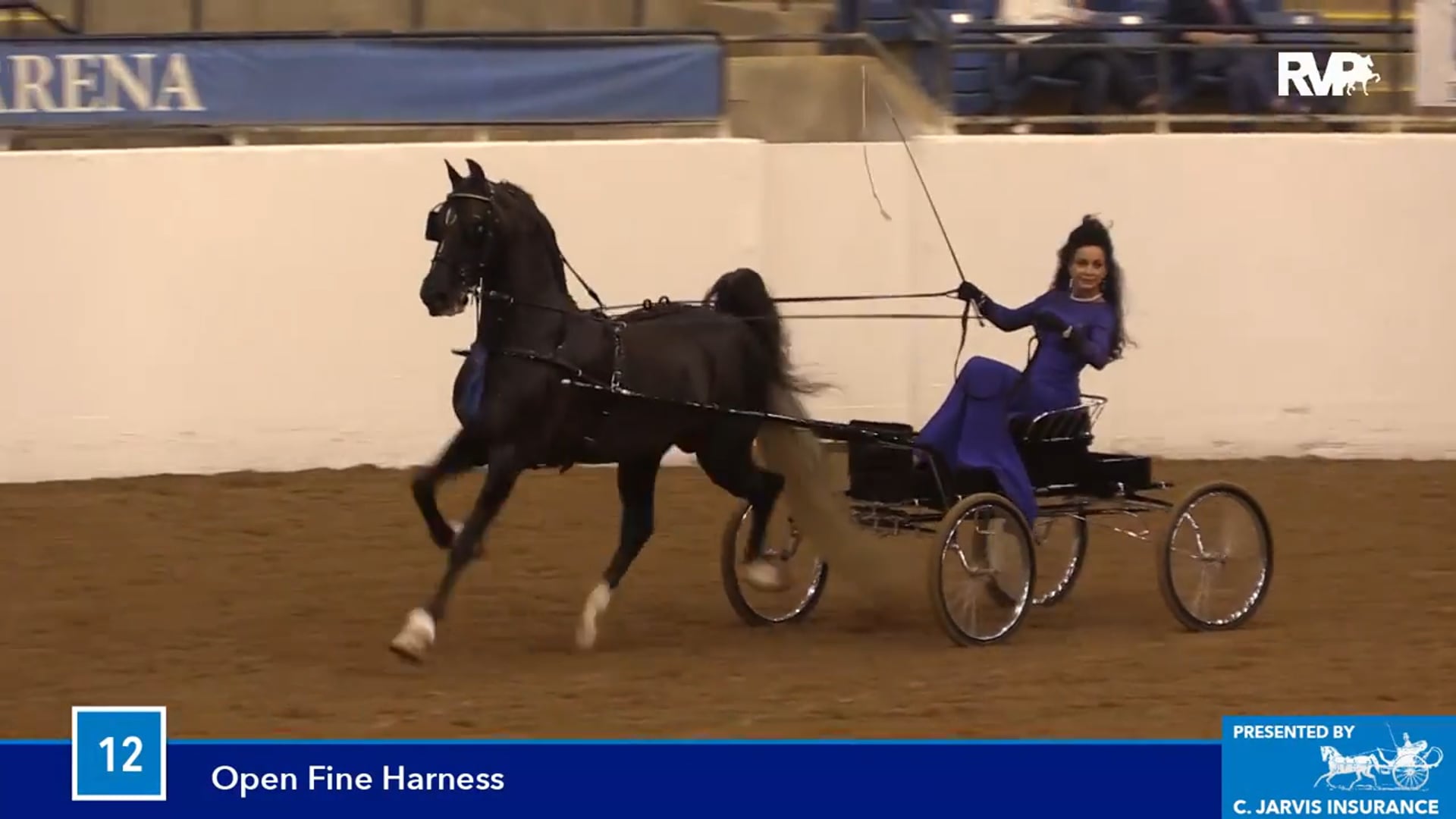 BB16 - Fine Harness Open