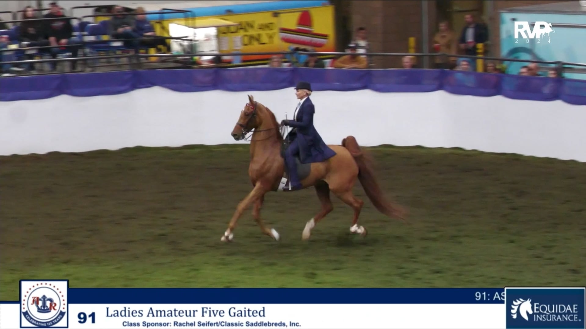 AR24 - Class 91 - Ladies Amateur Five Gaited