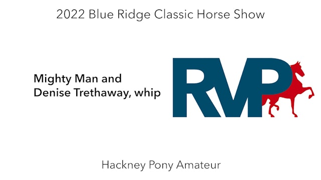 BR22 - Class 98 - Mighty Man and Denise Trethaway, whip
