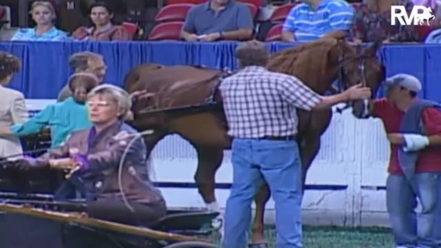 2009 World's Championship Horse Show ...