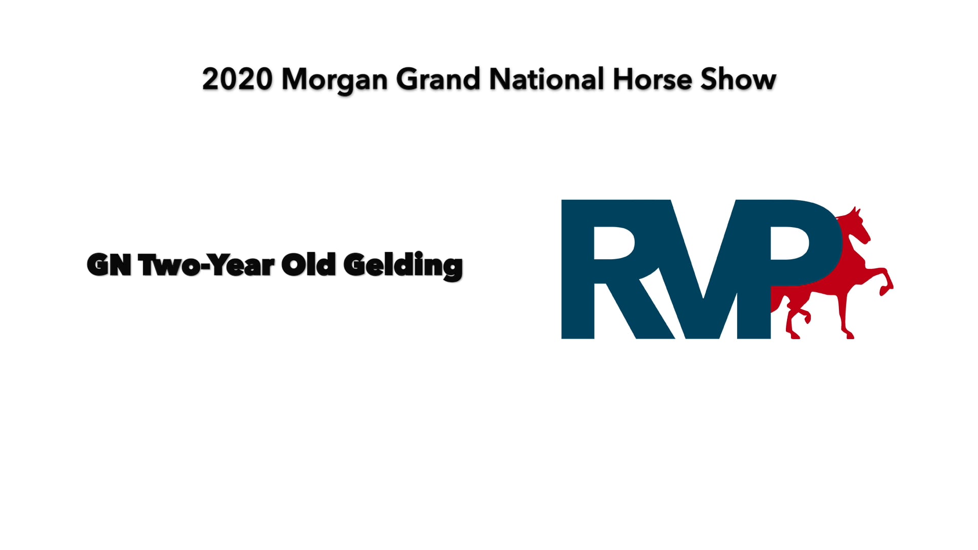 2020 MGN - Class 2 GN Two-Year-Old Gelding