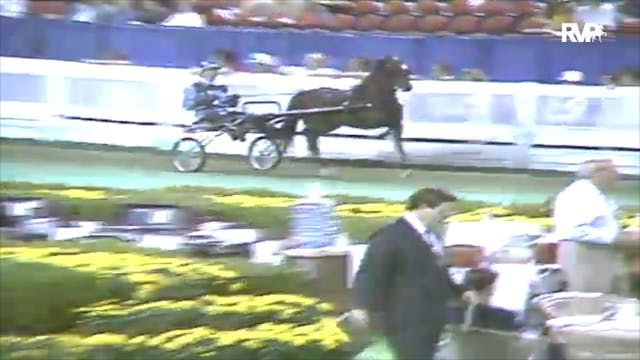 1991 WCHS Class 21 AHHS Futurity Thre...