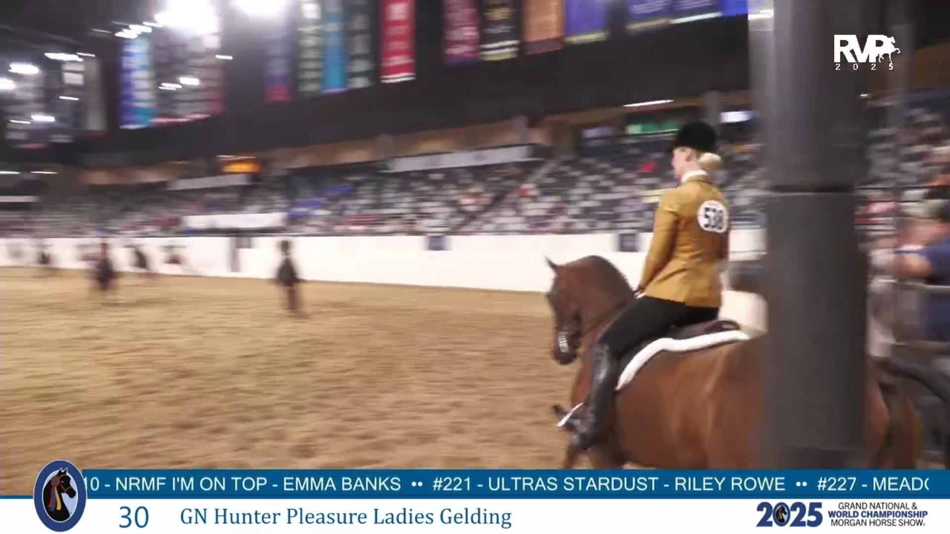 MGN25 - Class 30 - GN Hunter Pleasure Ladies Gelding