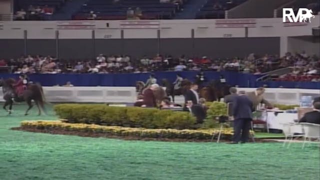 2007 WCHS Class 27 Five Gaited Pony R...