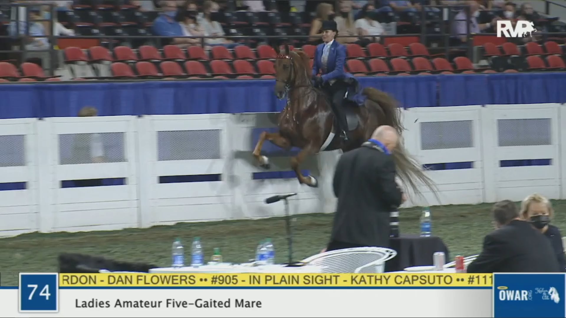 WCHS 2020 Class 74 - Ladies Amateur Five-Gaited Mare