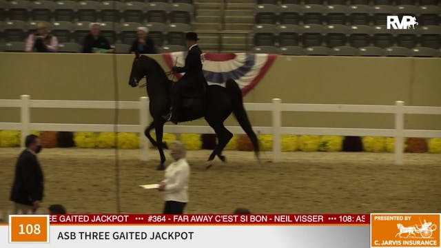 KFC 2020 - Class 108 ASB Three Gaited...