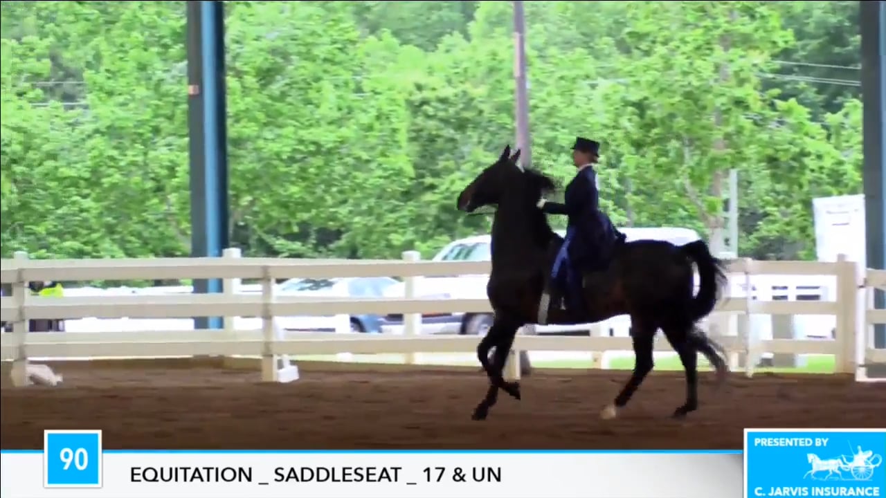 DC17 - Saturday Academy