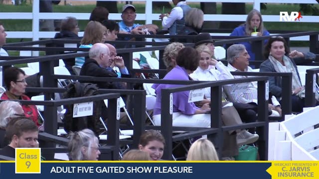 2015 RC - Class 9 Adult Five Gaited S...