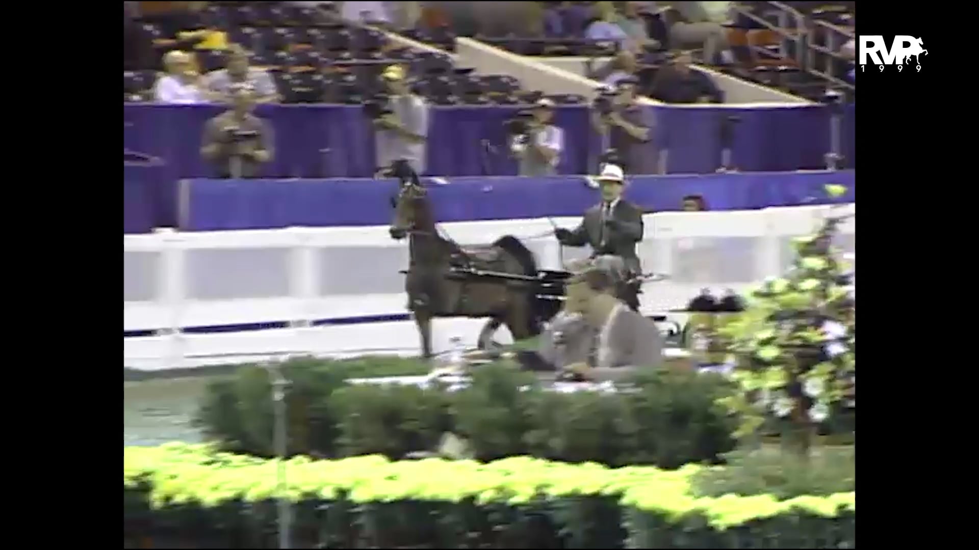 1999 WCHS - Class 91 Amateur Gentlemen’s Harness Pony Stake