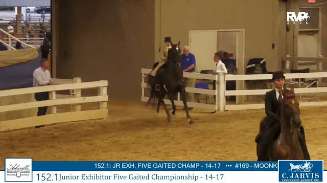 ASC26 - Class 152.1 - Jr Exhibitor Fi...
