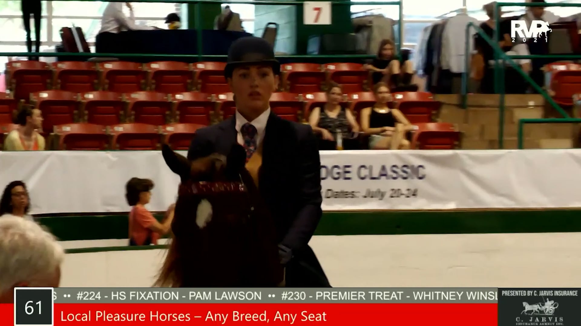 SS21 - Class 61 - Local Pleasure Horse - Any Breed, Any Seat