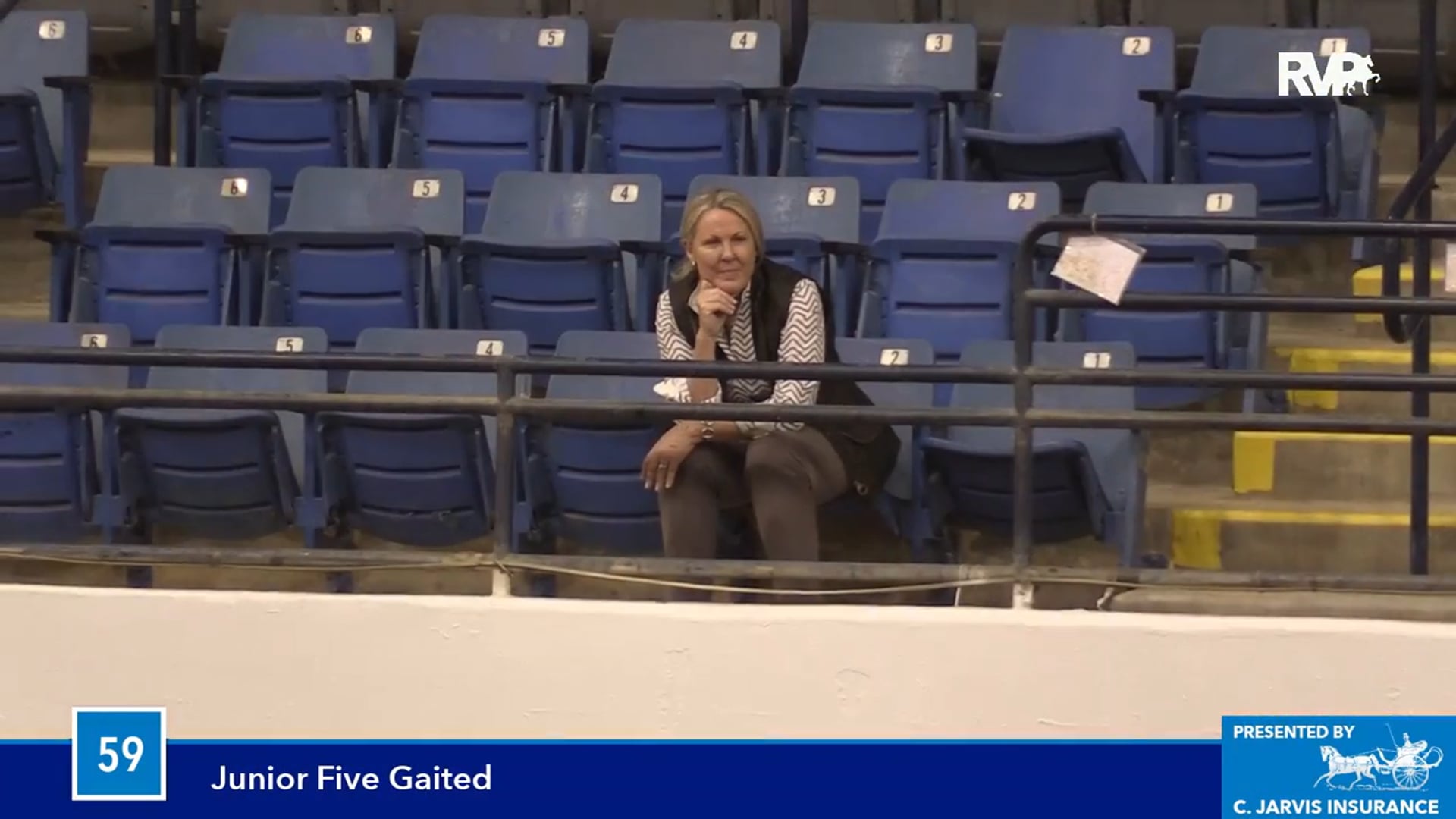 BB16 - Junior Five Gaited