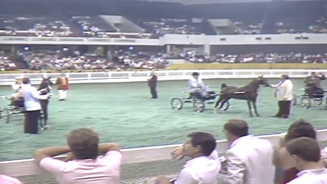 1987 WCHS Class 91 Hackney Pony Stall...