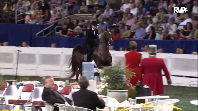 2012 WCHS - Class 100 Three Gaited 15...