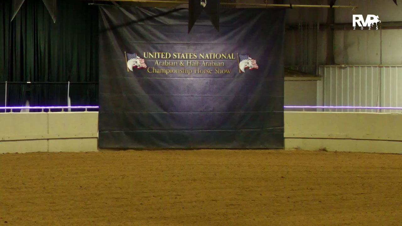 2025 Arabian Nationals - First Saturday Evening - Mustang