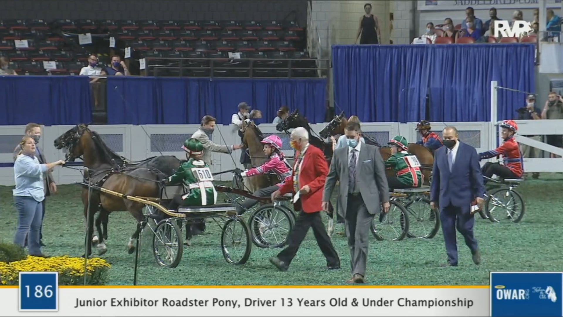 WCHS 2020 Class 186 - Junior Exhibitor Roadster Pony, Driver 13 Years Old & Under Championship