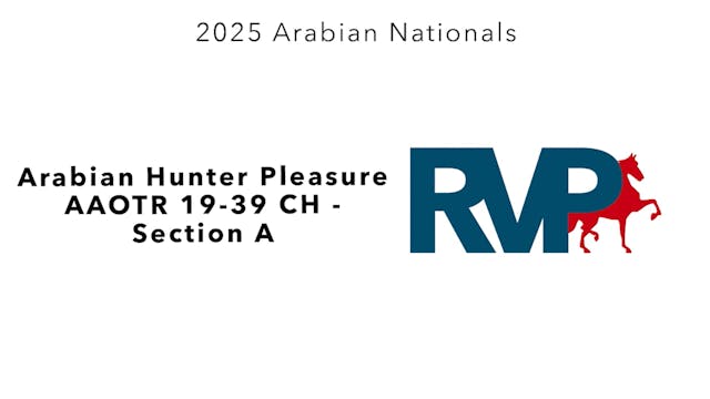 AN25 - Class 2133a - Arabian Hunter P...
