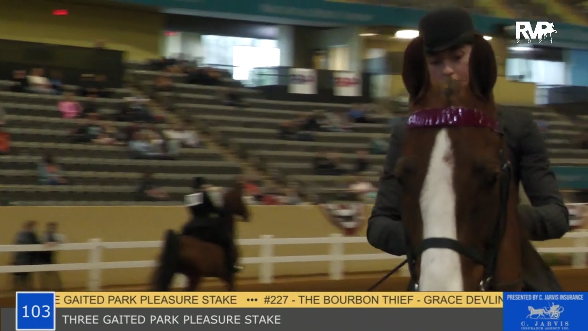 KYSP21 - Class 103 - Three Gaited Park Pleasure Stake
