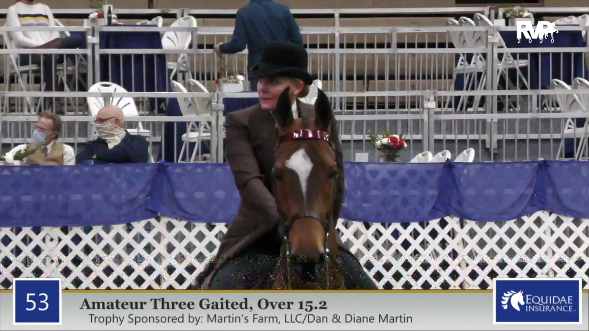 2020 AR - Class 53 Amateur Three Gaited Over 15.2