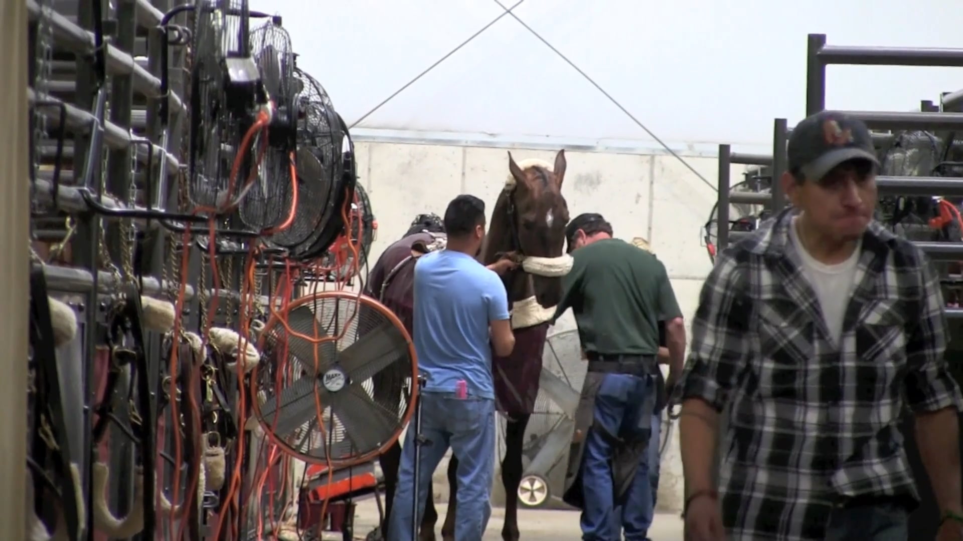 Madison In The Morning 2018