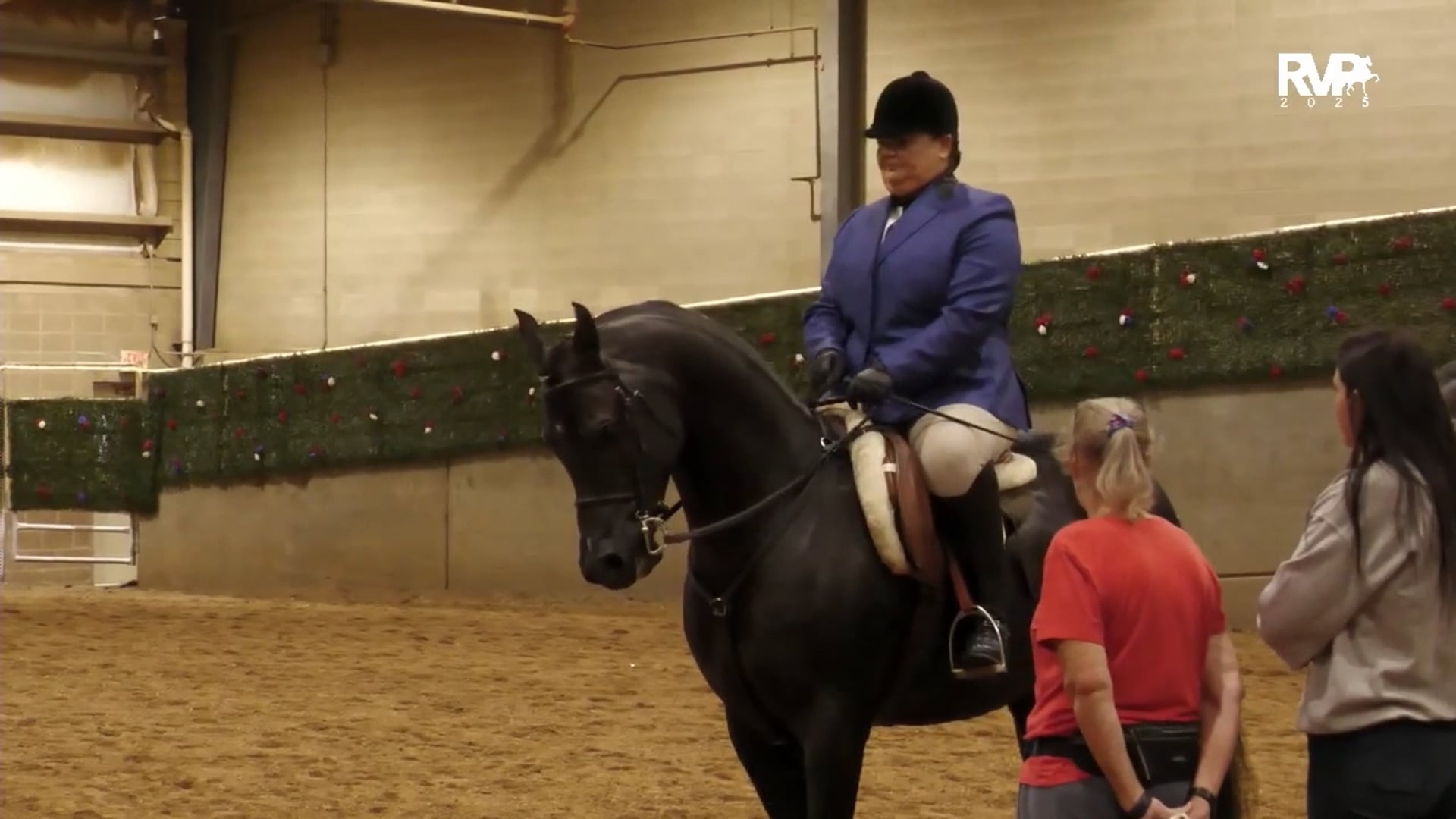 AN25 - Class 1169.1 - Arabian Hunter Pleasure AATR Select CH - I