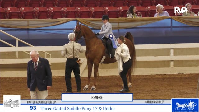 ASC24 - Class 93 - Three Gaited Saddl...