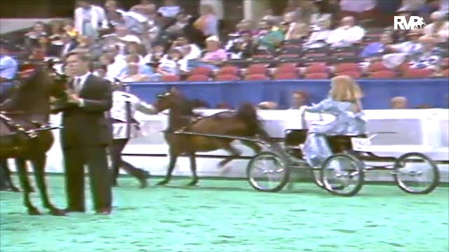 1992 WCHS Class 13 Kentucky County Fa...