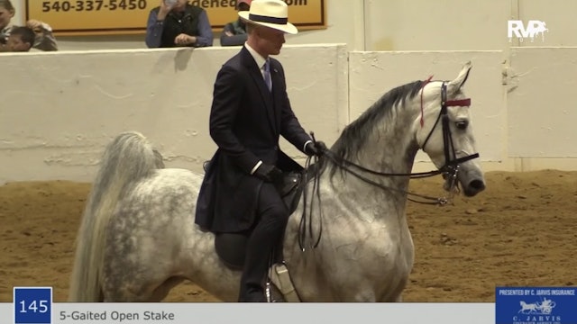 BB21 - Class 145 - Five Gaited Open Stake
