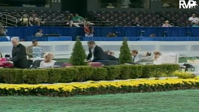 2003 WCHS Class 17 Equitation Open, R...
