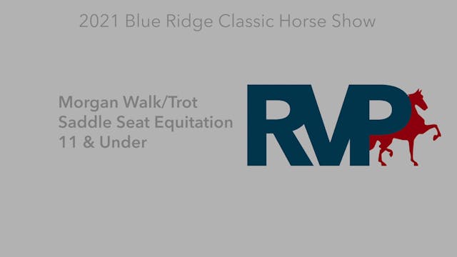 BR21 - Class 38 - Morgan Walk-Trot Sa...