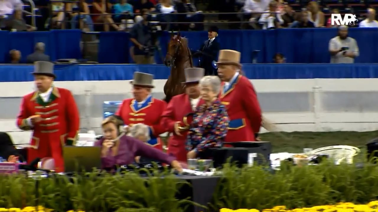 2015 World's Championship Horse Show - Thursday Evening